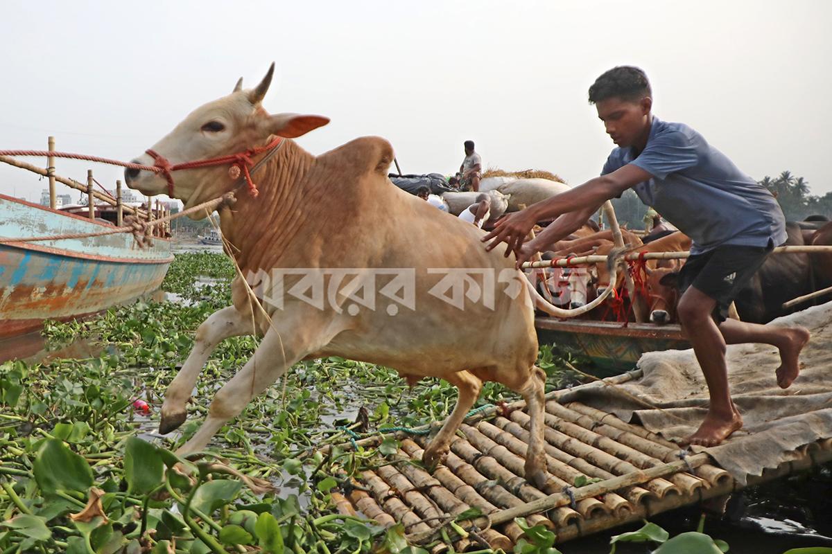 বাংলাদেশ মেডিকেল বিশ্ববিদ্যালয়ের স্টাফ কোয়ার্টার